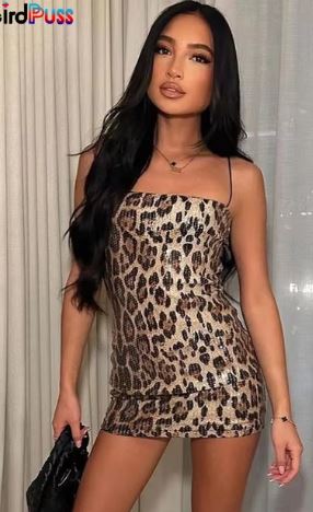 Leopard Print Sexy Dress